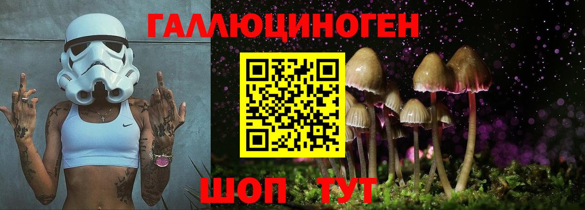 Качканар  Псилоцибиновые грибы Cubensis  купить наркотик  Вход с VPN 
